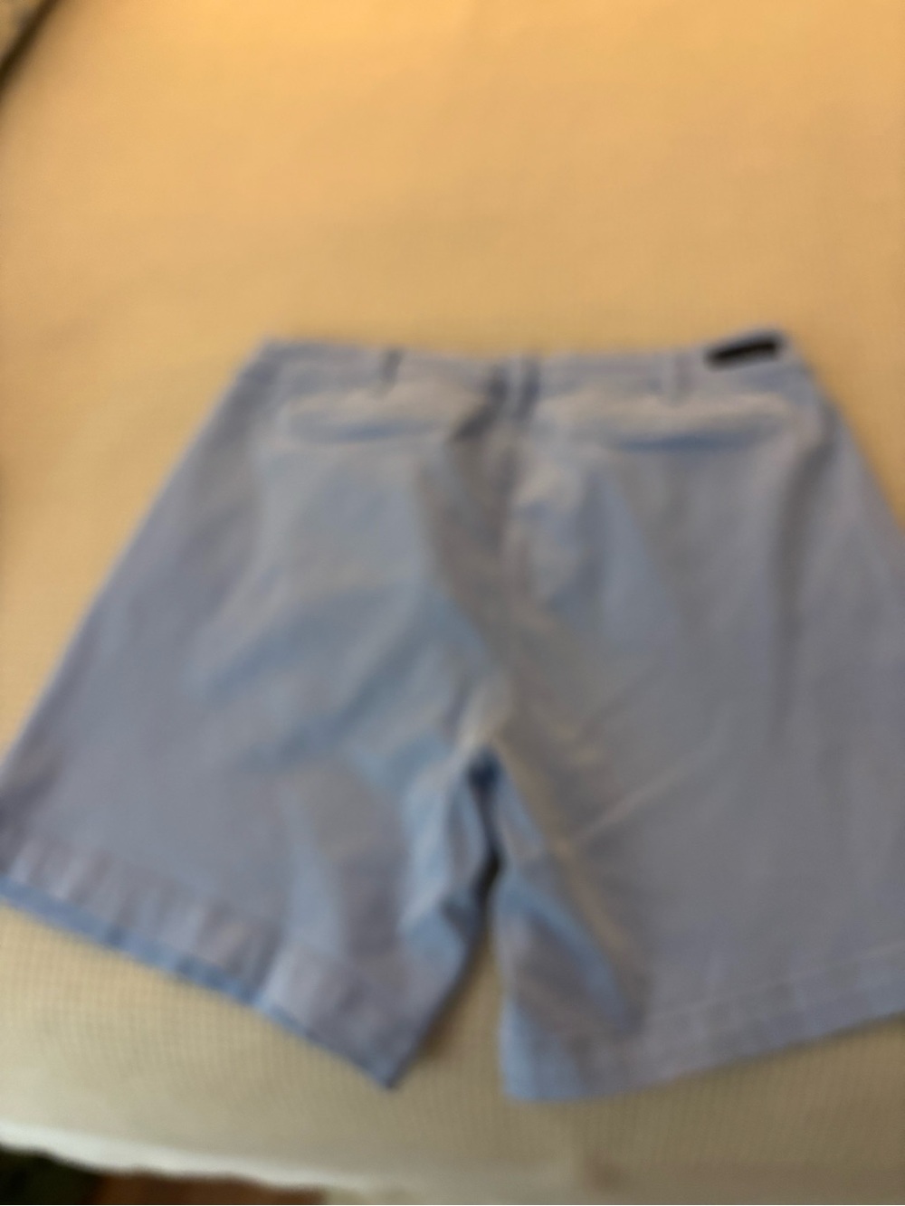 Kut from the Kloth Light Blue Women's Flat-Front Shorts